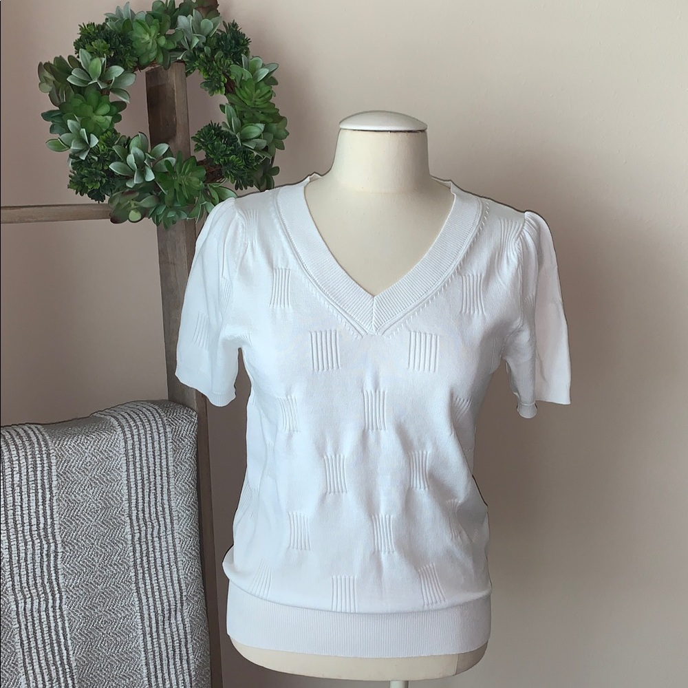 ✨NWT✨ Arach & Cloz white s/s knit sweater